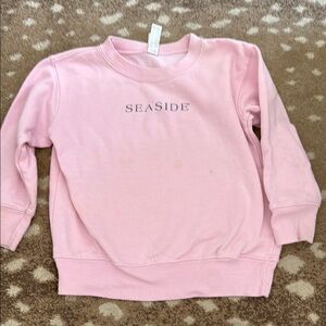 Kids Pink Crewneck Sweatshirt